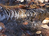 Prehistoric stream foam