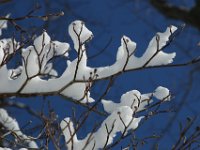 Is it spring yet?  We&#39;re ready to bloom!