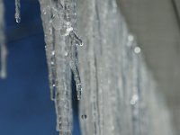 IMG 5834