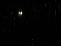 Icicles out the estate front window.