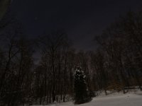 Backyard at night.